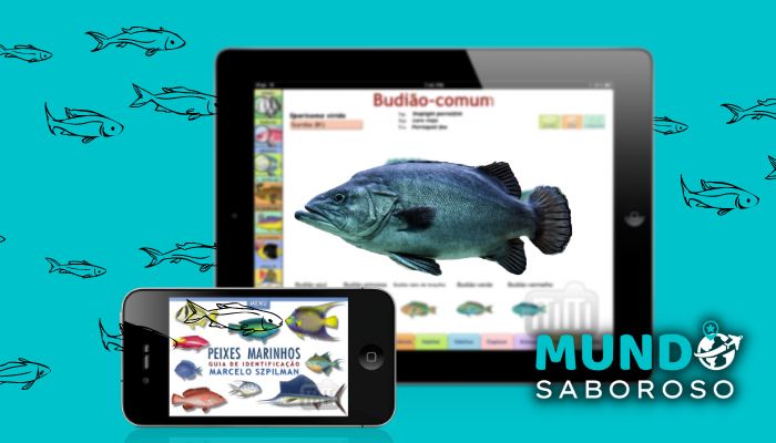 Conheça app para identificar peixes