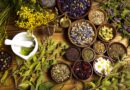 Plantas Medicinais: Benefícios e Como Cultivá-las em Casa